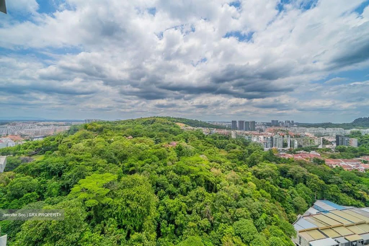 Regent Heights (D23), Condominium #543016531